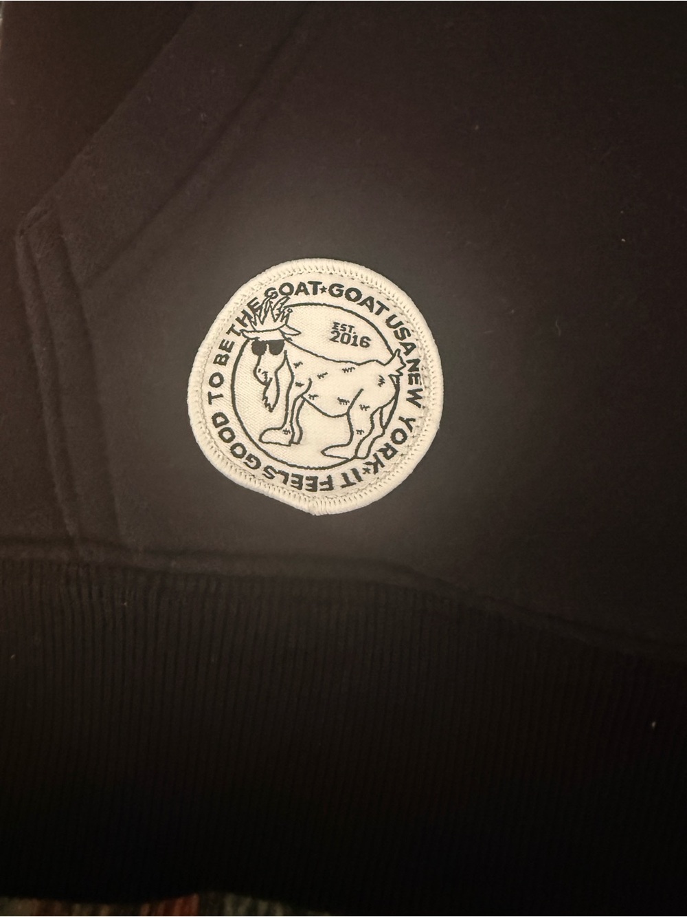 GOAT USA OG Hoodie Sweatshirt Youth Medium Black - Picture 7 of 9
